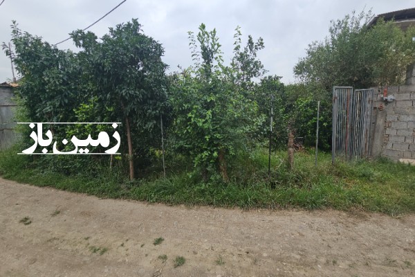 فروش زمین مسکونی باغی شمال ۵۵۰ متر بابل گتاب روستای آهنگرکلا-3