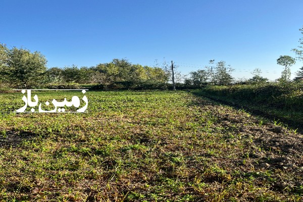 فروش زمین مسکونی گیلان ۵۸۵ متر شفت روستای ذولپیران-1