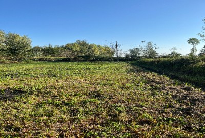 فروش زمین مسکونی گیلان ۵۸۵ متر شفت روستای ذولپیران