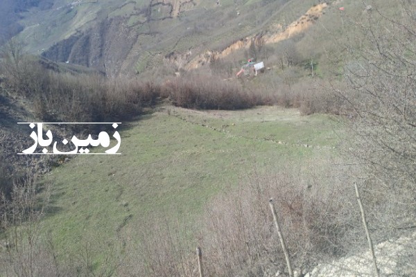 فروش زمین کشاورزی گیلان ۲۴۵۸ متر رانکوه روستای دیماجانکش-1