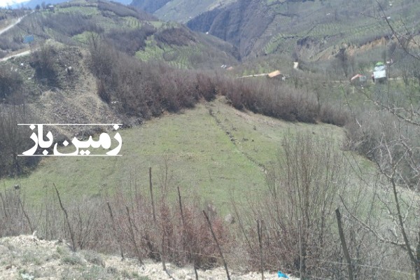 فروش زمین کشاورزی گیلان ۲۴۵۸ متر رانکوه روستای دیماجانکش-2