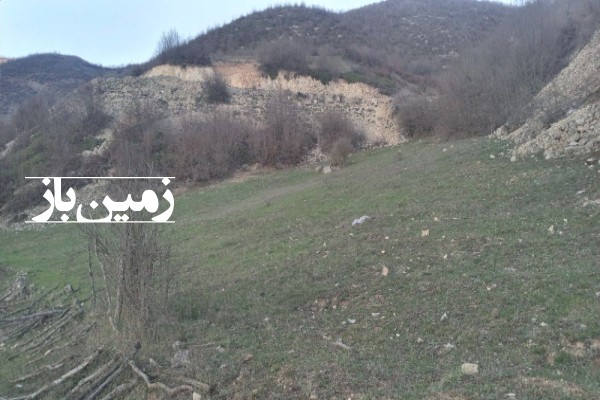 فروش زمین کشاورزی گیلان ۲۴۵۸ متر رانکوه روستای دیماجانکش-3