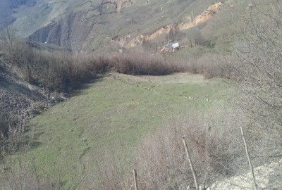 فروش زمین کشاورزی گیلان ۲۴۵۸ متر رانکوه روستای دیماجانکش