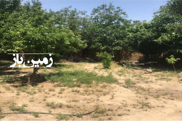 فروش زمین مسکونی باغ قزوین ۱۴۰۰ متر آبیک روستای دبیریان-1