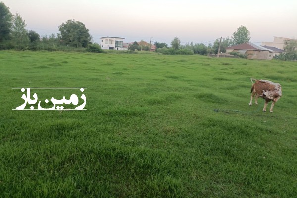 فروش زمین گیلان ۵۰۰ متر فومن روستای قلعه کل-3