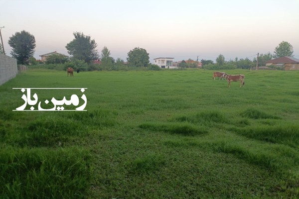 فروش زمین گیلان ۵۰۰ متر فومن روستای قلعه کل-4