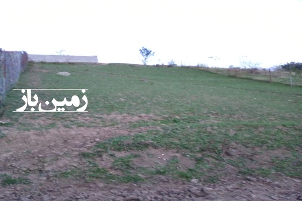 فروش زمین مسکونی شمال ۴۰۰ متر پل سفید روستای دهمیان-3