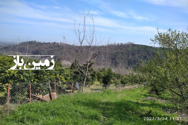 فروش زمین کشاورزی شمال ۲۰۰۰ متر تنکابن روستای کوده روستای مهران-2