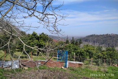 فروش زمین کشاورزی شمال ۲۰۰۰ متر تنکابن روستای کوده روستای مهران