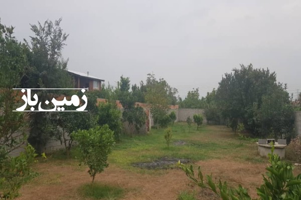 فروش زمین کشاورزی شمال ۹۰۰ متر نکا باغ لب جاده اصلی-3