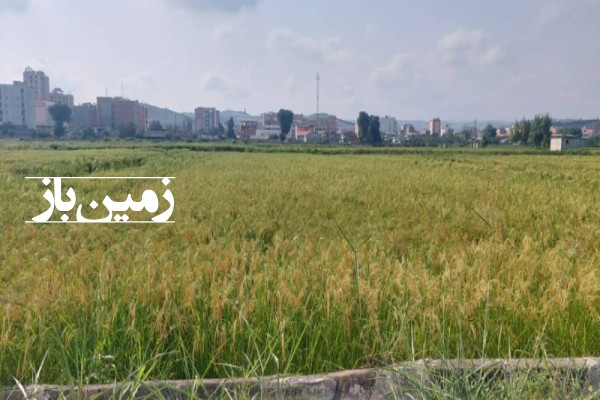 فروش زمین کشاورزی شمال ۸۸۰ متر نکا نزدیک روستای دوقانلو-1