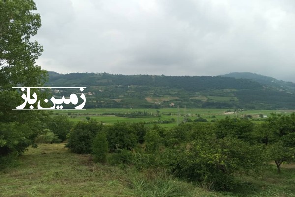 فروش زمین باغ شمال ۴۷۰۰۰ متر ساری روستایی-1