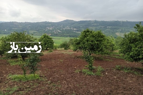 فروش زمین باغ شمال ۴۷۰۰۰ متر ساری روستایی-3