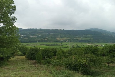 فروش زمین باغ شمال ۴۷۰۰۰ متر ساری روستایی