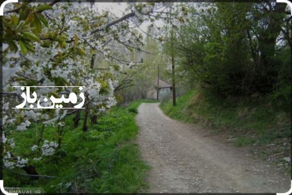 فروش زمین باغ جاده چالوس ۳۴۱ متر روستای شهرستانک-1