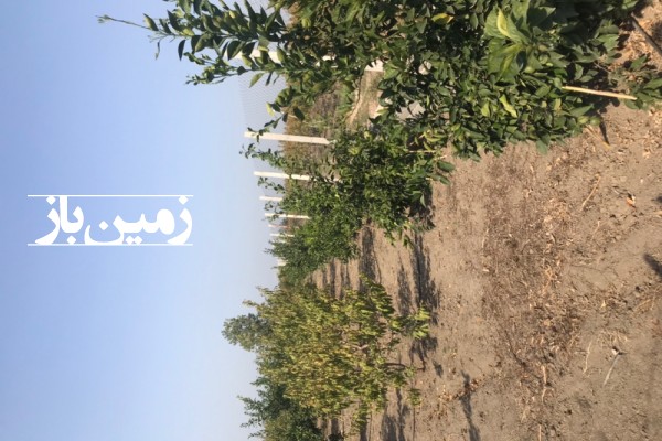 فروش زمین باغ شمال ۲۲۰۰ متر نکا روستای طوسکلاه-3