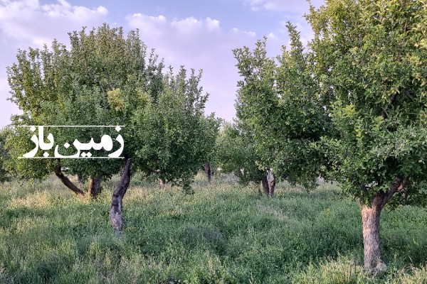 فروش زمین باغ کشاورزی سمیرم ۳۱۰۰۰ متر وردشت روستای دهکرد-1