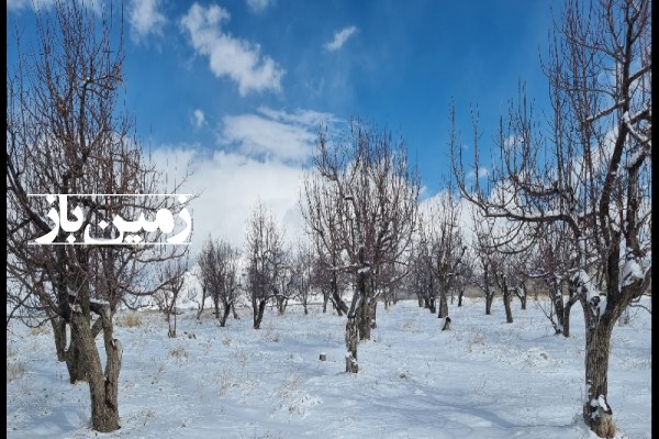 فروش زمین باغ کشاورزی سمیرم ۳۱۰۰۰ متر وردشت روستای دهکرد-4