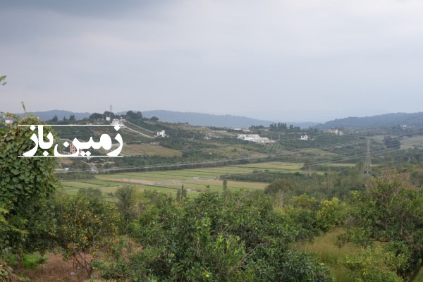 فروش زمین مسکونی شمال ۳۰۰ متر قائمشهر روستای رنگریزکلا-1