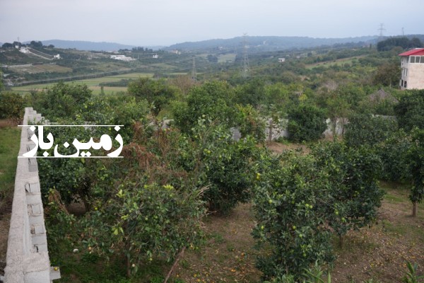 فروش زمین مسکونی شمال ۳۰۰ متر قائمشهر روستای رنگریزکلا-4