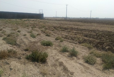 فروش زمین کشاورزی قم ۲۰۰ متر قنوات نزدیک روستای سراجه