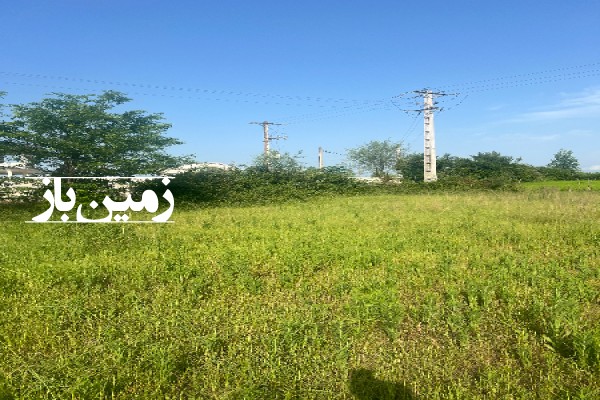 فروش زمین باغ گیلان ۳۰۰۰ متر ماسال روستای شاندرمن-1