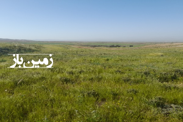 فروش زمین کشاورزی مرکزی ۱۴۰۰ متر کمیجان روستای آمره-2