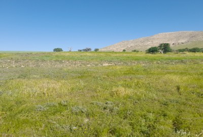 فروش زمین کشاورزی مرکزی ۱۴۰۰ متر کمیجان روستای آمره