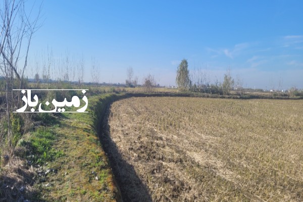 فروش زمین کشاورزی شمال ۷۴۰۰ متر فریدون‌ کنار روستای بی نمد-1