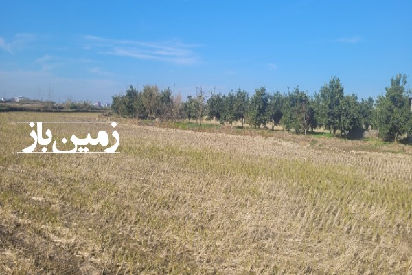 فروش زمین کشاورزی شمال ۷۴۰۰ متر فریدون‌ کنار روستای بی نمد-3