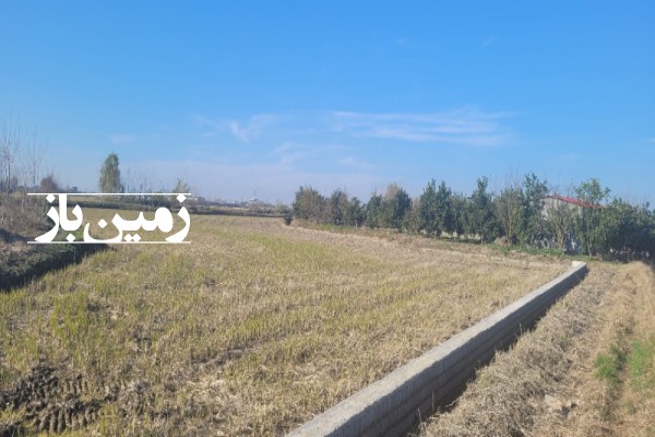 فروش زمین کشاورزی شمال ۷۴۰۰ متر فریدون‌ کنار روستای بی نمد-4