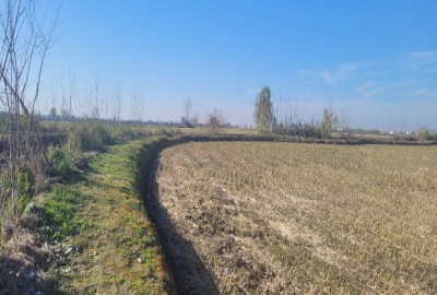 فروش زمین کشاورزی شمال ۷۴۰۰ متر فریدون‌ کنار روستای بی نمد