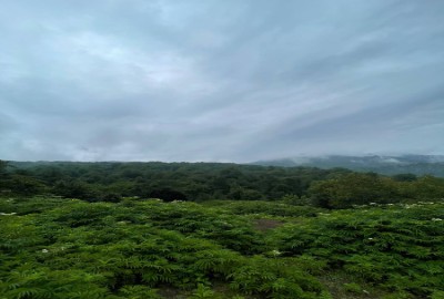 فروش زمین مسکونی شمال ۲۰۰ متر زیراب روستای بهمنان ولوکش