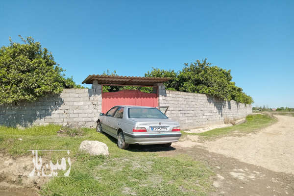 فروش زمین باغ شمال ۷۰۷۰ متر آمل پاشا کلادشت سر-2