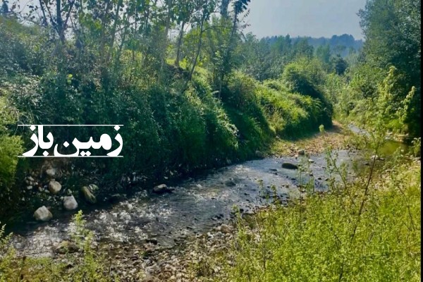 فروش زمین مسکونی باغ کشاورزی شمال ۴۵۰۰ متر بابل لدار-3