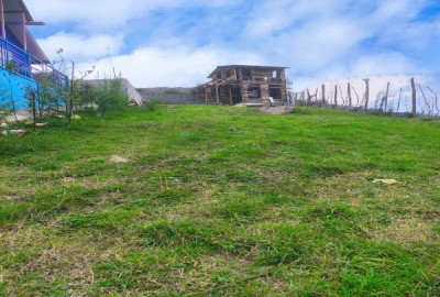 فروش زمین شمال ۶۰۰ متر چمستان روستای لاویج