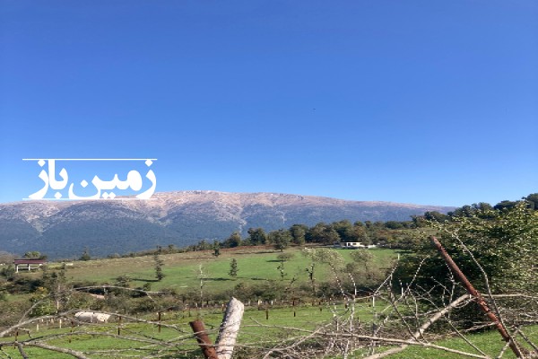 فروش زمین کشاورزی گیلان ۷۵۰ متر بره‌ سر توتکابن روستای چره-2