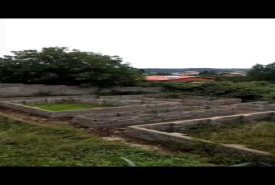 فروش زمین مسکونی شمال ۲۶۰ متر بابل روستای سید کلا جاده لفور