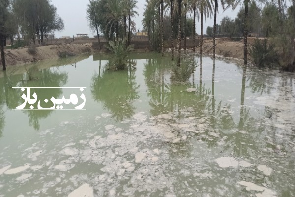 فروش زمین مسکونی باغ کلنگی هرمزگان ۲۰۰۰ متر قشم روستای سهیلی-1