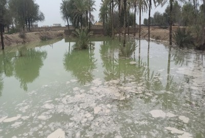 فروش زمین مسکونی باغ کلنگی هرمزگان ۲۰۰۰ متر قشم روستای سهیلی