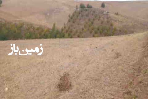 فروش زمین مسکونی کلنگی گیلان ۵۴۶۶ متر رودبارخورگام روستای چهیش-1