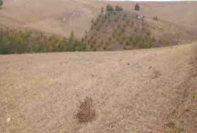 فروش زمین مسکونی کلنگی گیلان ۵۴۶۶ متر رودبارخورگام روستای چهیش