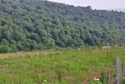 فروش زمین مسکونی شمال ۹۰۰ متر زیرآب روستای پیر نعیم