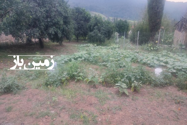 فروش زمین مسکونی تجاری باغ شمال ۱۹۰۰ متر نکا روستای چلمردی-2