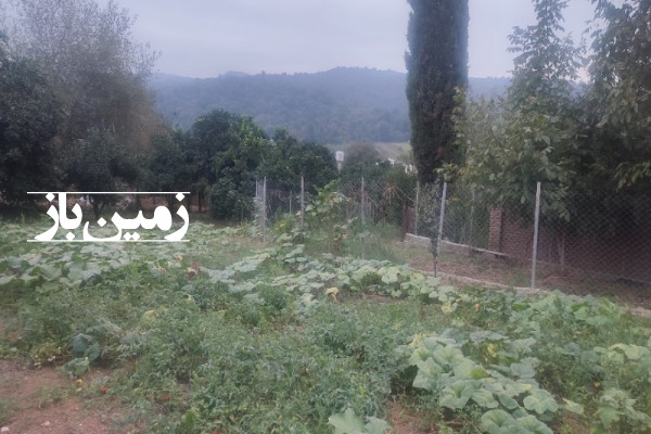 فروش زمین مسکونی تجاری باغ شمال ۱۹۰۰ متر نکا روستای چلمردی-4