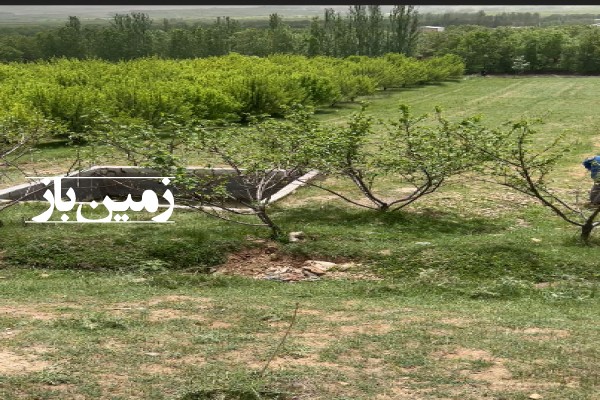 فروش زمین باغ باغچه لرستان ۳۰۰۰ متر بروجرد روستابرکت آباد-1