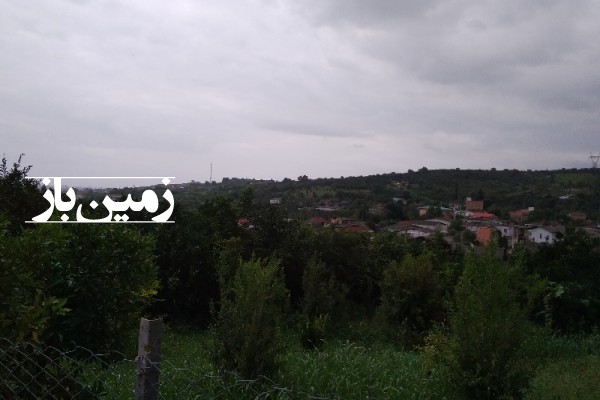 فروش زمین باغچه شمال ۶۰۰ متر ساری جاده قائمشهر روستای گله کلا-1