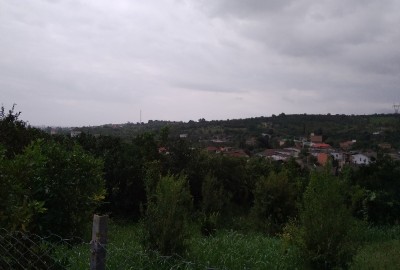 فروش زمین باغچه شمال ۶۰۰ متر ساری جاده قائمشهر روستای گله کلا