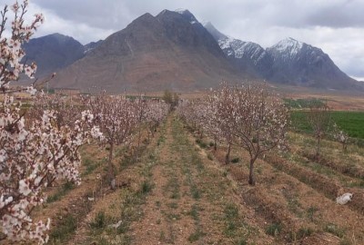 فروش زمین باغ اصفهان ۴۱۰۰ متر داران فریدون شهر