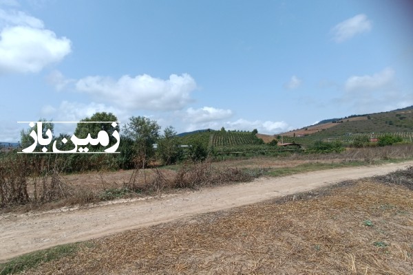 فروش زمین باغ کشاورزی شمال ۱۳۰۰۰ متر ساری بین روستای تلوکلا و کیاده-3